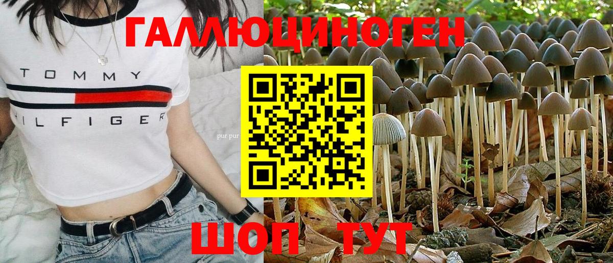 Галлюциногенные грибы Magic Shrooms Камышлов