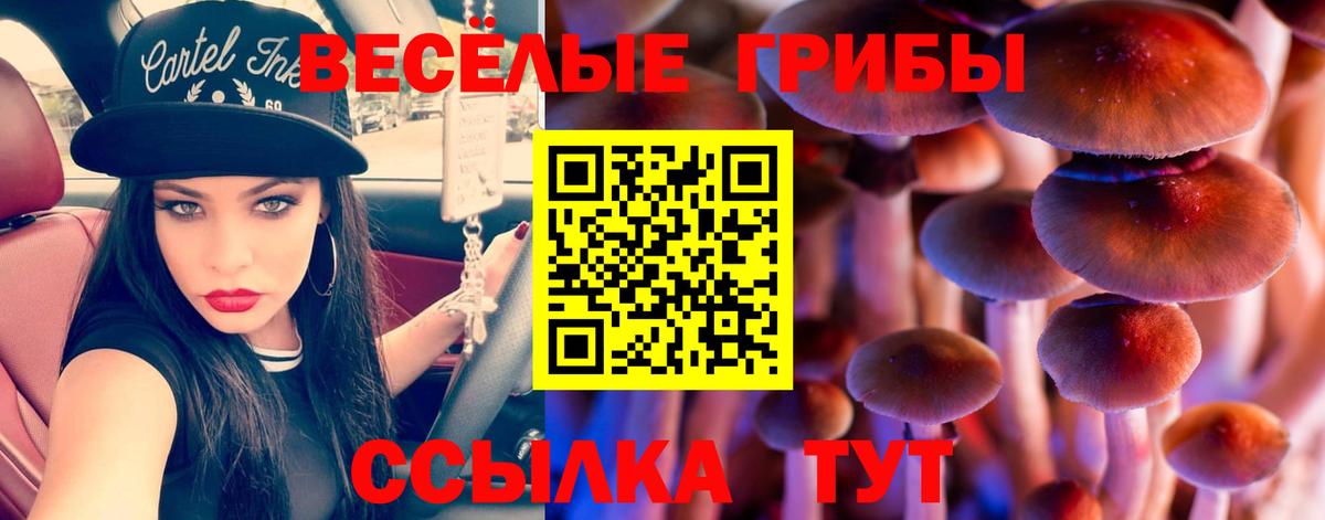 Камышлов  Галлюциногенные грибы GOLDEN TEACHER  наркота  Вход с VPN 